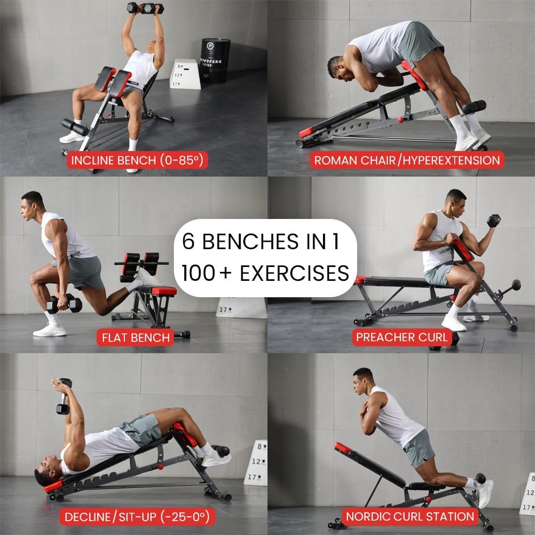 All-In-One FID Weight Bench - Hyper Back Extension, Ab Sit Up, Incline Decline, Flat Bench - Apex Athletics