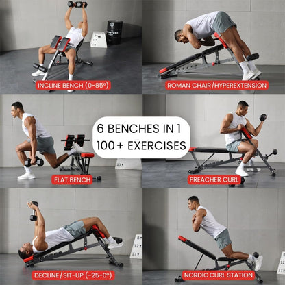 All-In-One FID Weight Bench - Hyper Back Extension, Ab Sit Up, Incline Decline, Flat Bench - Apex Athletics